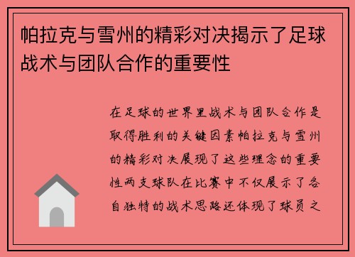 帕拉克与雪州的精彩对决揭示了足球战术与团队合作的重要性